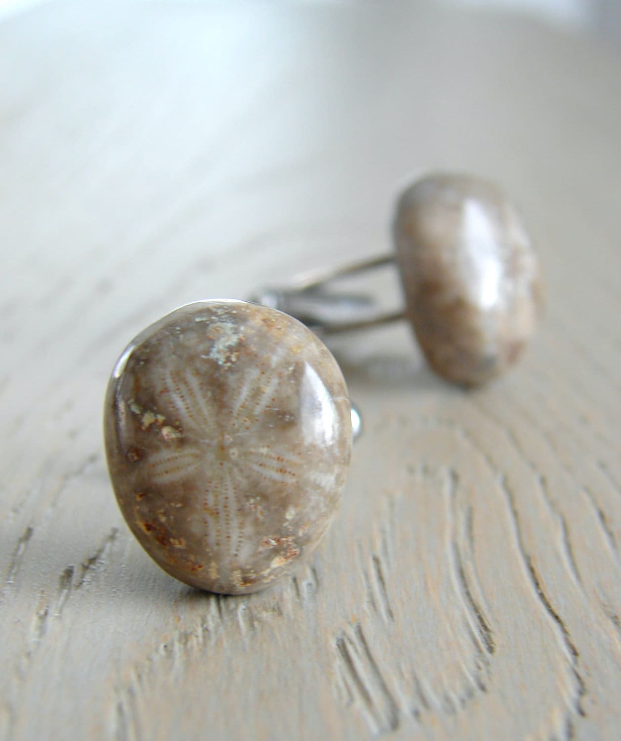 Sand Dollar Fossil Cufflinks, Natural Stone Mens Jewelry, Gift for Geologist or a Beach Wedding Groom, Cool Fathers Day Gift for Everyday